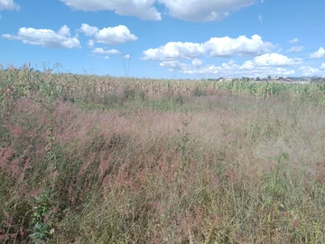 Commercial & Industrial Land