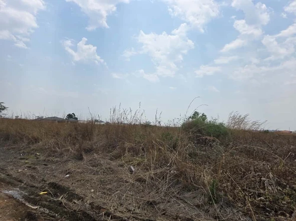 Stands & Residential Land