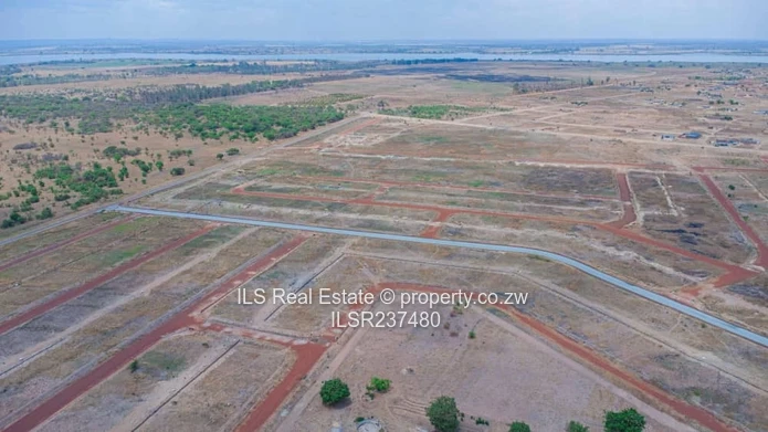 Lakewood stands for sale (Norton Knowe)