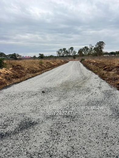 Investment Opportunity