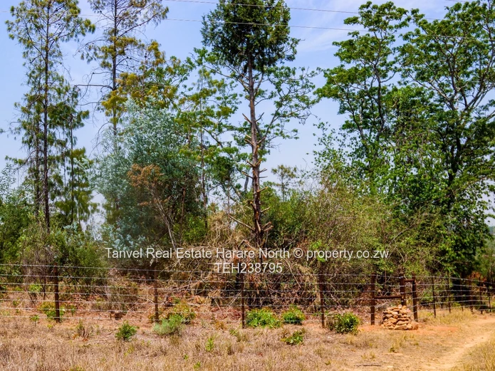 NYANGA STANDS AVAILABLE! Nestled in a beautiful, secluded, valley in Nyanga . Located near London St