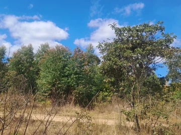 Commercial & Industrial Land