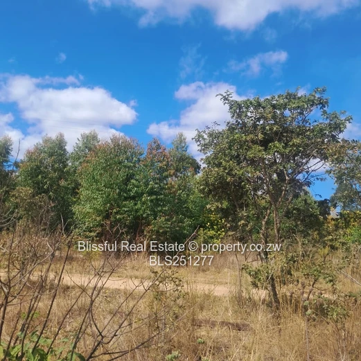 PRIME 2000m² SERVICE STATION STAND - HARARE-MUTARE Highway 