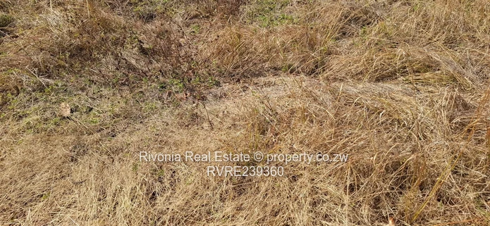 Borrowdale 8119sqm Ideal for cluster development 