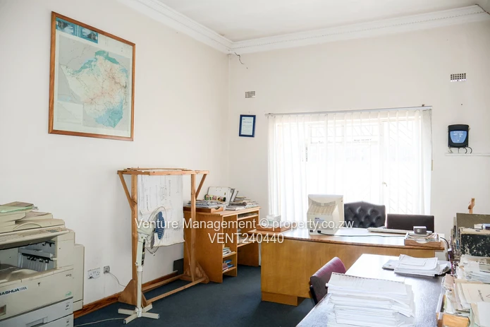 Your Next Investment!