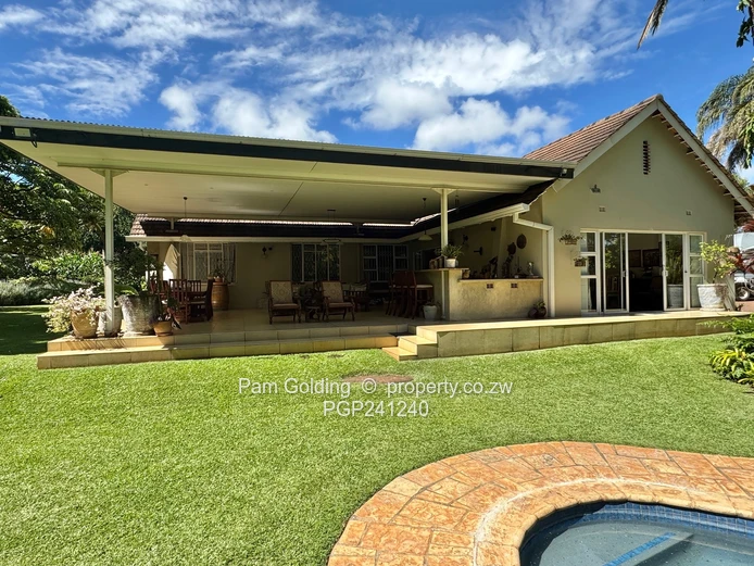 Alexandra Park - Seeing is believing 