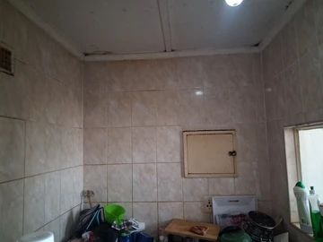 Flat & Apartment