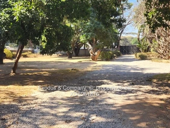 Commercial land for sale