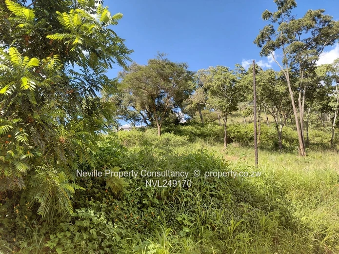 Glen Lorne (Mother Care area)