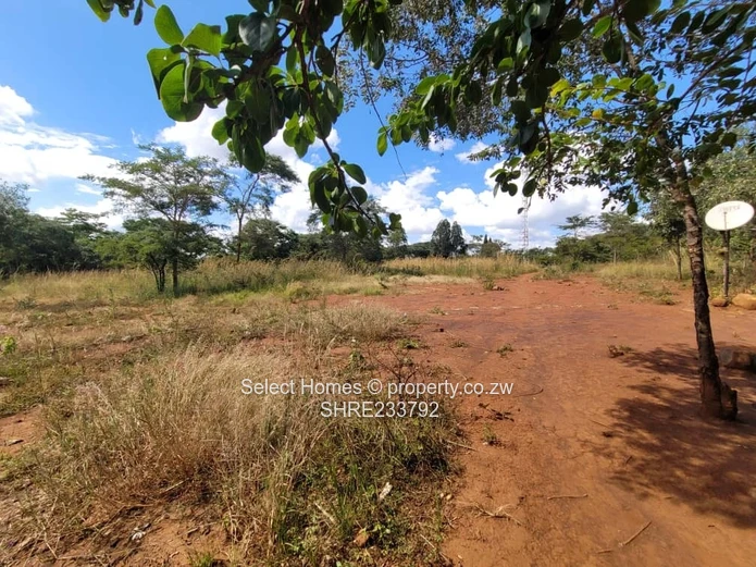 Christon bank Plot For Sale