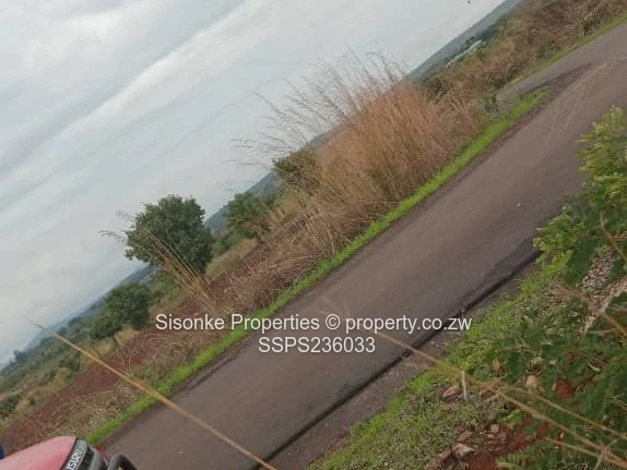 Spacious corner stand for sale in Pomona Buckland terrace