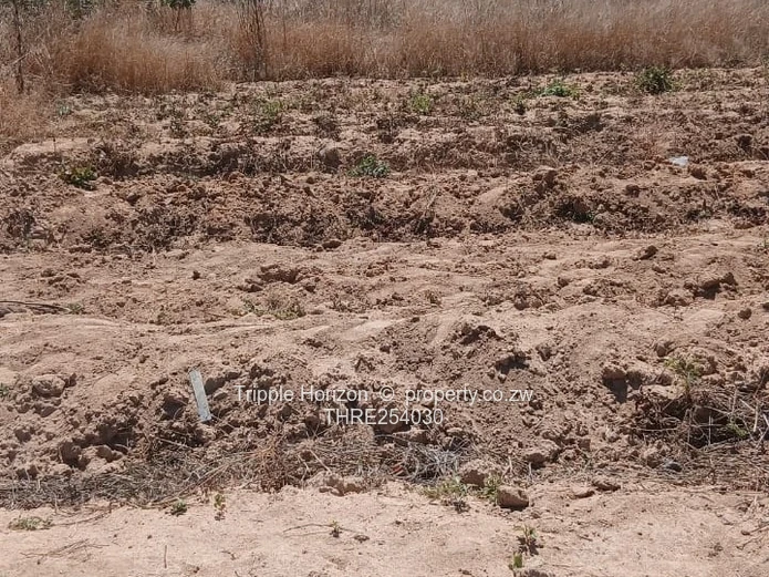 800m² Stand in  Elizabeth park Ruwa —with title deeds
