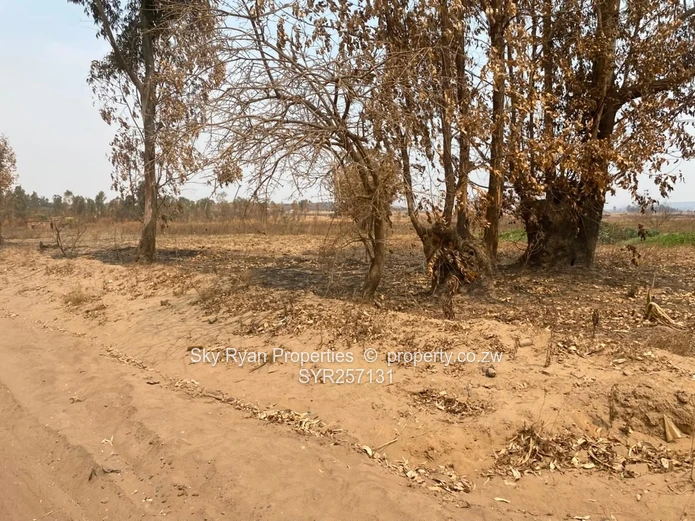 Spitzkop Land For Sale 