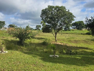 Farm & Agricultural Land