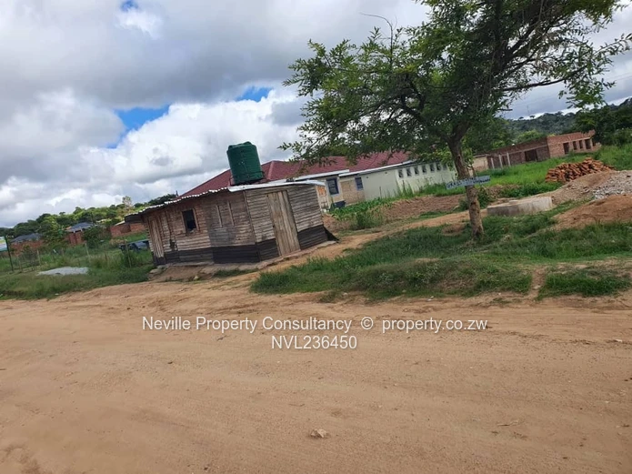 Crowhill Palm Villers 