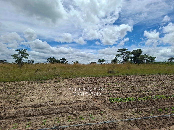 Kwekwe farm for sale (Sole Mandate)