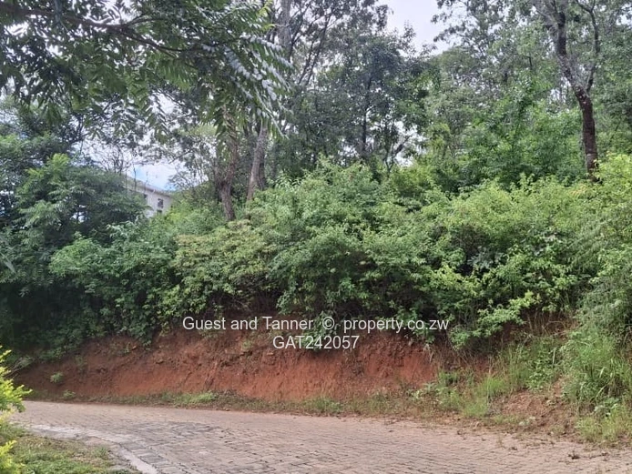 Prime Elevated Residential Stand for Sale in Helensvale – Gated Community