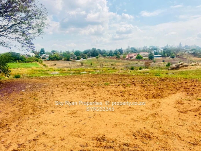 Borrowdale Helensvale Stand For Sale 