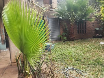 2 Bedroom Flat & Apartment