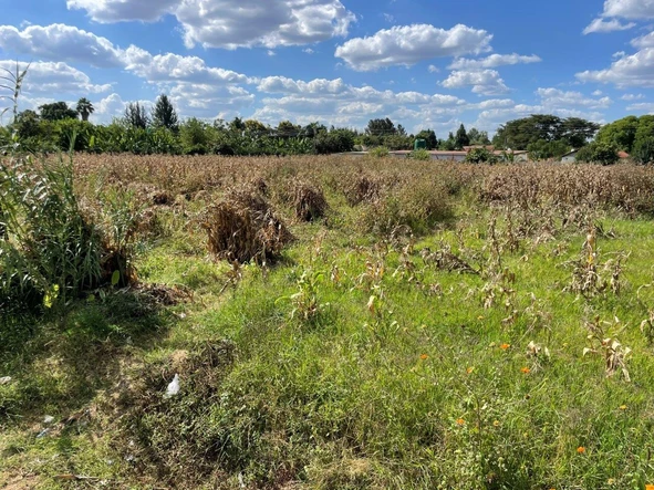 Stands & Residential Land