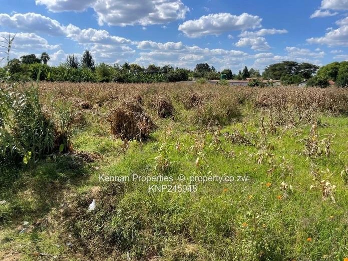 Old Malborough Stand For Sale  