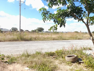 Land
