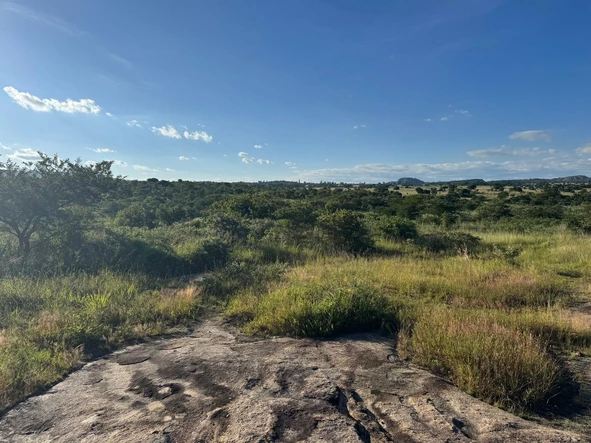 Commercial & Industrial Land