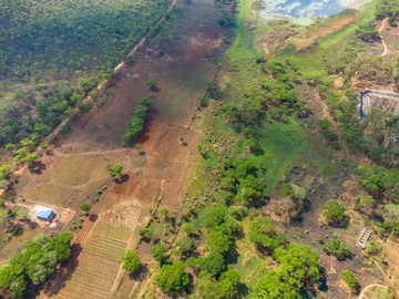 Farm & Agricultural Land