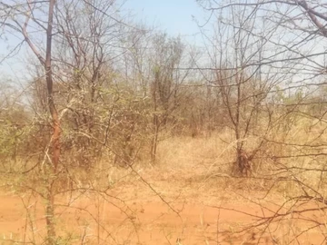 Farm & Agricultural Land