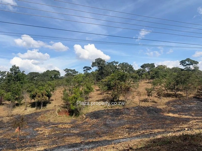 Where Vision Meets Land