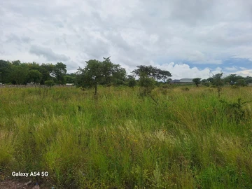 Stands & Residential Land