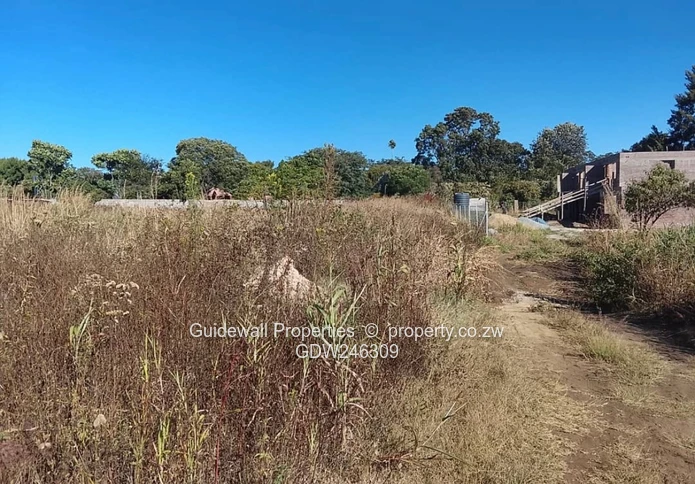 5000sqm stand for sale in Blufhill