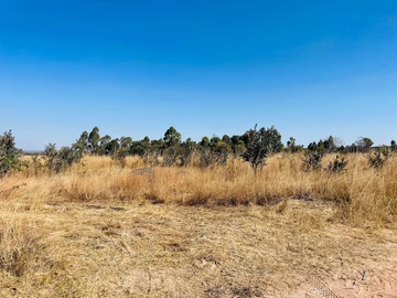 Farm & Agricultural Land