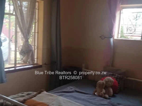 Haig Park Property For Sale 
