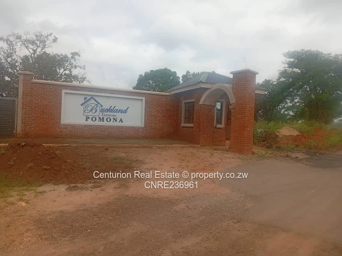 Pomona Wild Geese stand for sale