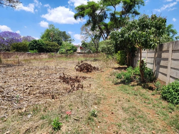 Stands & Residential Land