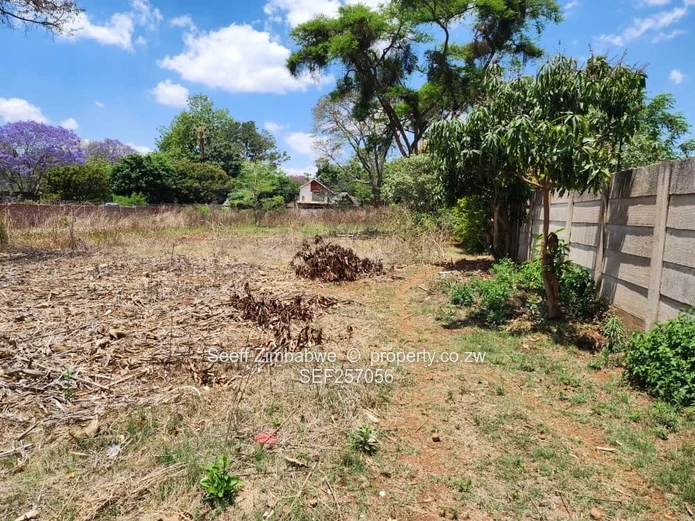 Rare Prime Find: Build Your Dream Home in Affluent Glen Lorne