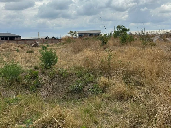 Commercial & Industrial Land