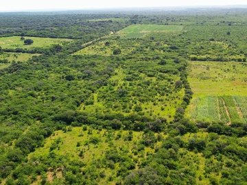 Farm & Agricultural Land