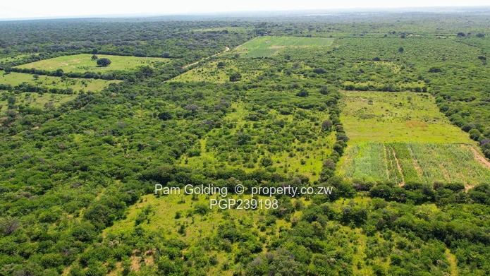 Nyamandlovu 1026 farm for sale