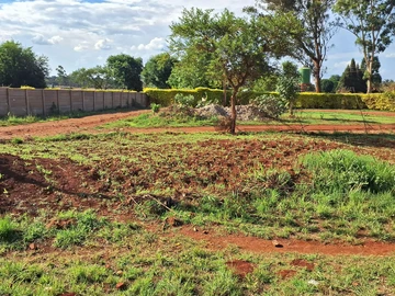 Commercial & Industrial Land