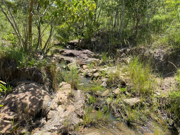 Farm & Agricultural Land