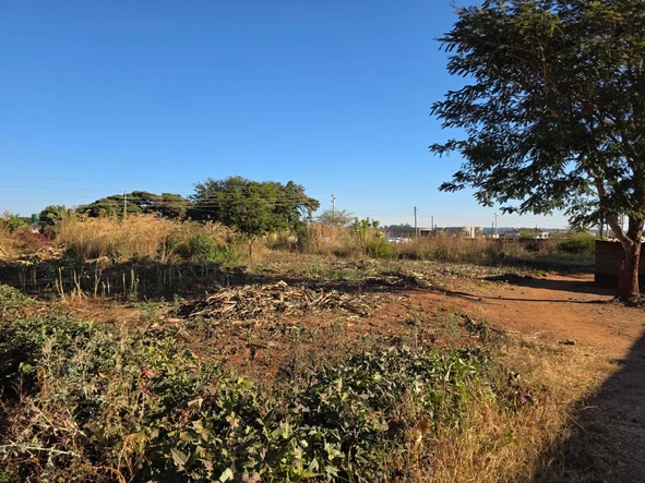 Stands & Residential Land