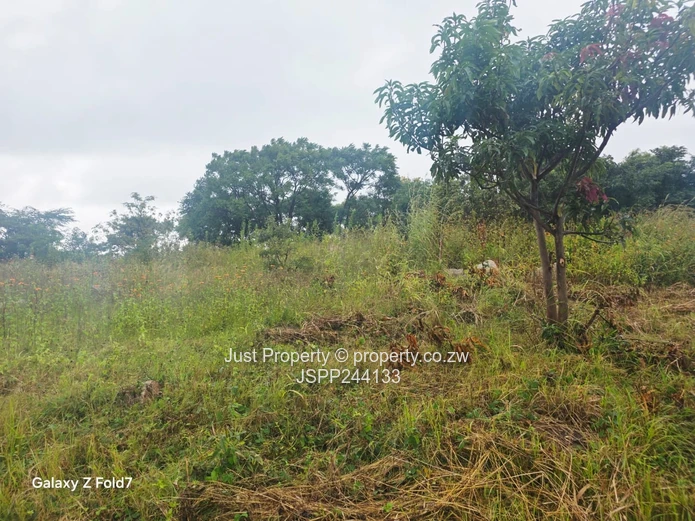 Manresa 2,169 m² Stand on Tarred Road – Sloping, Treed (Sole Mandate)