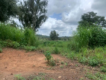 Land For Sale In The Grange 