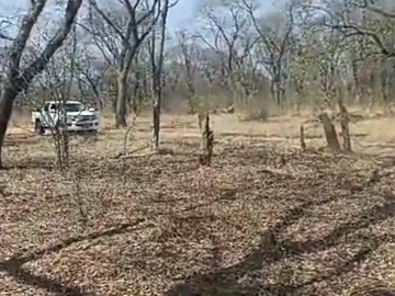 Farm & Agricultural Land