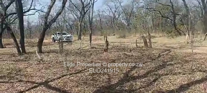 1,130ha Gokwe Farm — Gravel Roads, Grazing & Kraal (Sole Mandate)