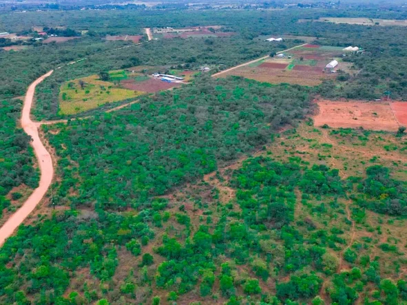 Farm & Agricultural Land