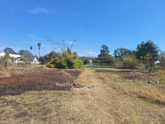 Greendale Avenue - Redevelopment Opportunity!
