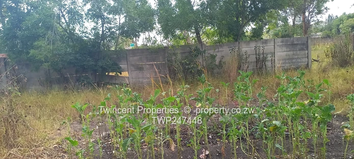 Investment opportunity  (Sole Mandate)
